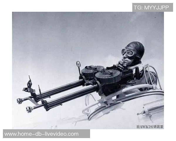 刘易斯与迈考尔在二战中的较量与战略博弈分析 刘易斯与迈考尔在二战中的较量与战略博弈分析